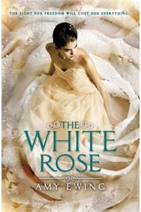 The White Rose