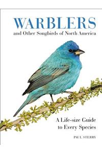 Warblers and Other Songbirds of North America: A Life-Size Guide to Every Species