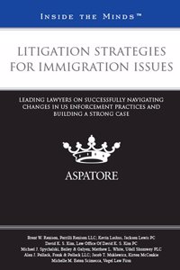 Litigation Strategies for Immigration Issues