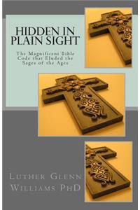 Hidden In Plain Sight