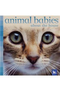 Animal Babies About the House