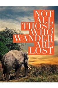 Not All Those Who Wander Are Lost
