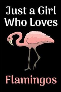 Just a Girl Who Loves Flamingos