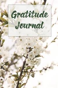 Gratitude Journal