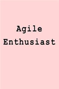 Agile Enthusiast