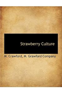 Strawberry Culture