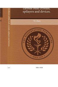 Defects Structures in Silicon Carbide Bulk Crystals, Epilayers and Devices.