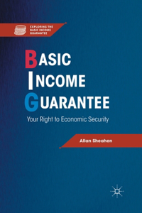 Basic Income Guarantee