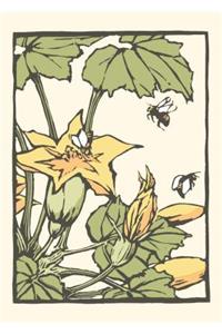 Squash Flower (Boxed)