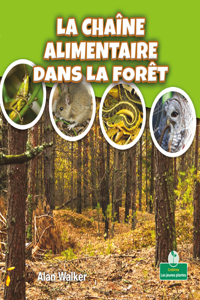 La Chaîne Alimentaire Dans La Forêt (Food Chain in a Forest)
