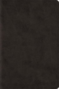 ESV Study Bible, Personal Size (Trutone, Black)