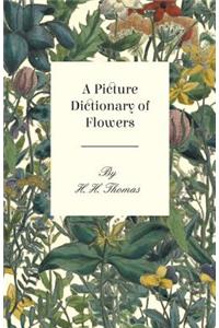 A Picture Dictionary Of Flowers