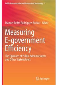 Measuring E-Government Efficiency