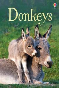 Donkeys