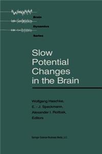 Slow Potential Changes in the Brain