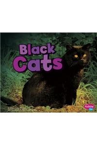 Black Cats