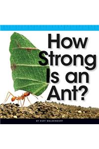 How Strong Is an Ant?
