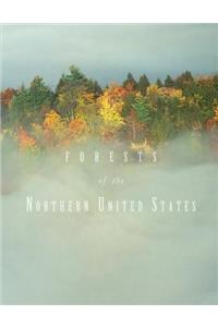 Forests of the Northern United States