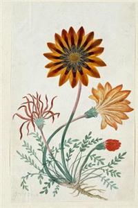 Antique Botanical Flower Art Journal