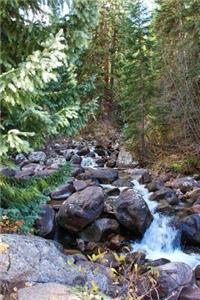 Mountain Stream in the Colorado Rocky Mountains Journal