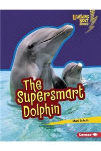 Supersmart Dolphin