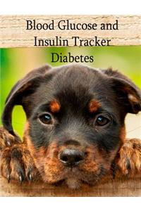 Blood Glucose and Insulin Tracker - Diabetes