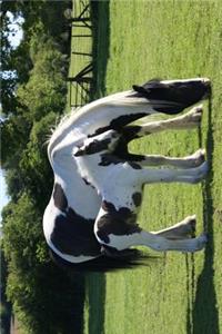 Adorable Black and White Mare and Foal Journal