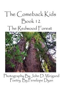 Comeback Kids, Book 12, the Redwood Forest