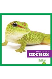 Geckos