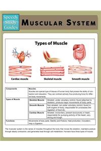 Muscular System (Speedy Study Guide)