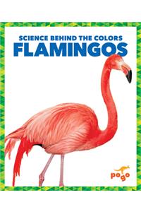 Flamingos