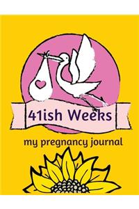 41ish weeks my pregnancy journal