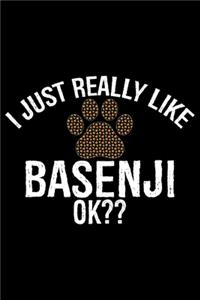 I Just Really Like Basenji Ok?