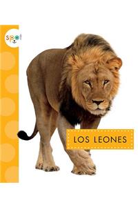 Los Leones