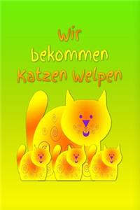 Wir bekommen Katzen Welpen