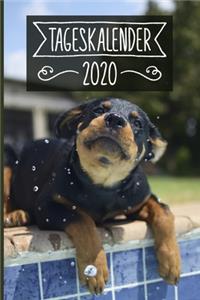 Tageskalender 2020