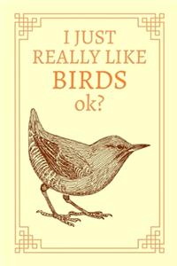 I Just Really Like Birds, OK?