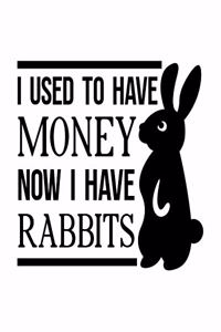 I Used to Have Money. Now I Have Rabbits