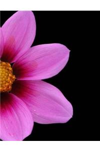 Cosmos Purple Flower Notebook Journal Home School Office Work Business Journals