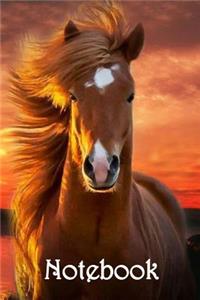 Notebook: Horse Chestnut - Bespoke, Personalised Notebook. Contact Us If You Would Like Your Own Image, Name or Other Text on a Book.