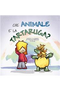 Che animale è la tartaruga?