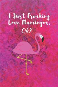 Flamingo Notebook