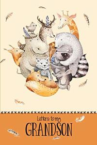 Letters to My Grandson