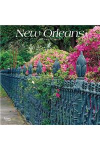 New Orleans 2020 Square Wall Calendar
