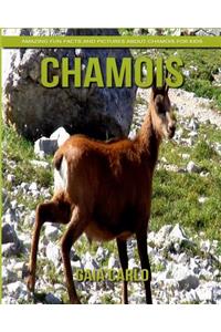 Chamois