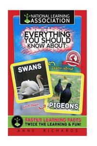 Everything You Should Know About