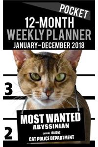 2018 Pocket Weekly Planner - Most Wanted Abyssinian