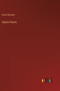 Alpine Plants