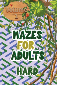 Mazes for adults