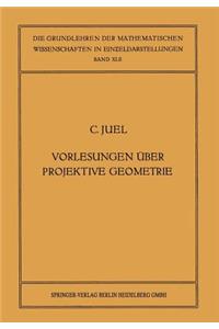 Vorlesungen über Projektive Geometrie